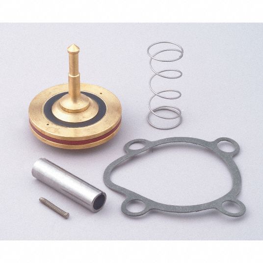 DAYTON Valve Rebuild Kit, 2A202 For Use With 2DAC1066061 Grainger