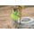 Product Image #5