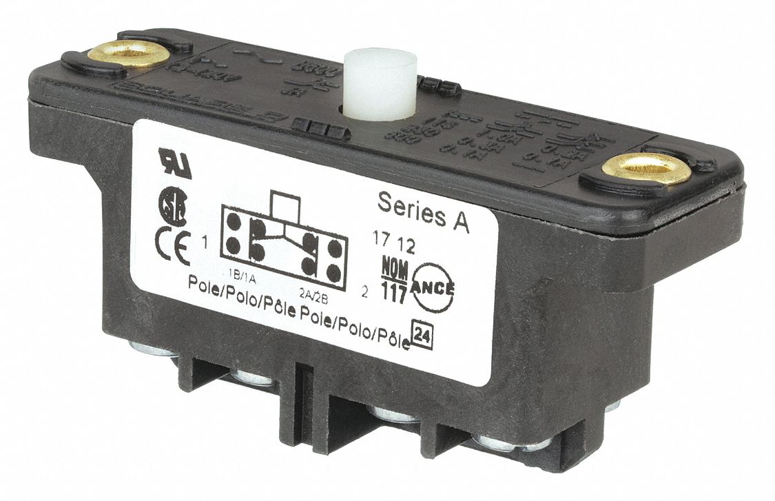 Snap Action Switch: Plunger Actuator, 2NO/2NC, Screw