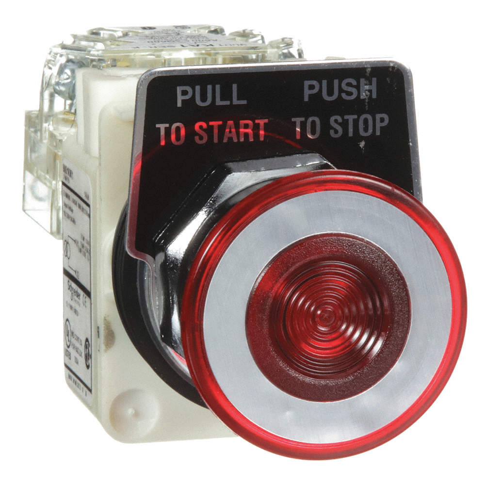 H6946 Illuminated Push Button 1NO/1NC 120VAC