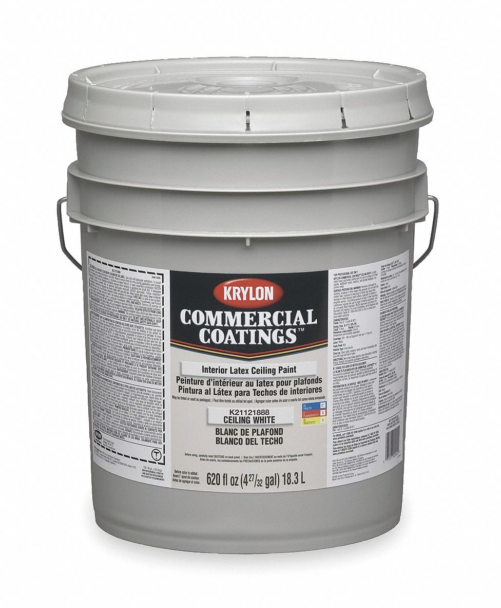 Krylon Flat Interior Ceiling Paint White 5 Gal 2erk4