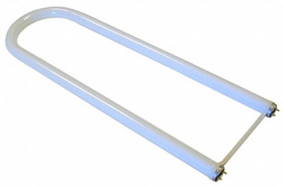 U-SHAPED FLUORESCENT BULB, T8, MEDIUM BI-PIN (G13), 6 IN U-BEND LEG SPACING, 32 W