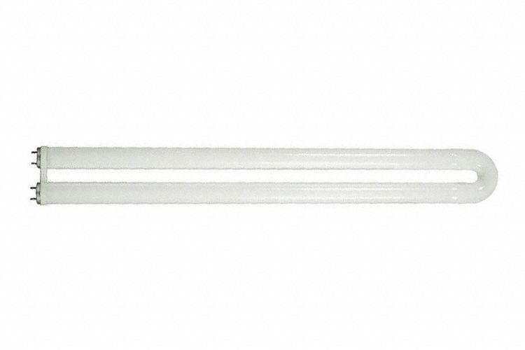 U-SHAPED FLUORESCENT BULB, T8, MEDIUM BI-PIN (G13), 1⅝ IN U-BEND LEG SPACING, 31 W