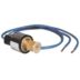 Remote Mount Pressure Switches