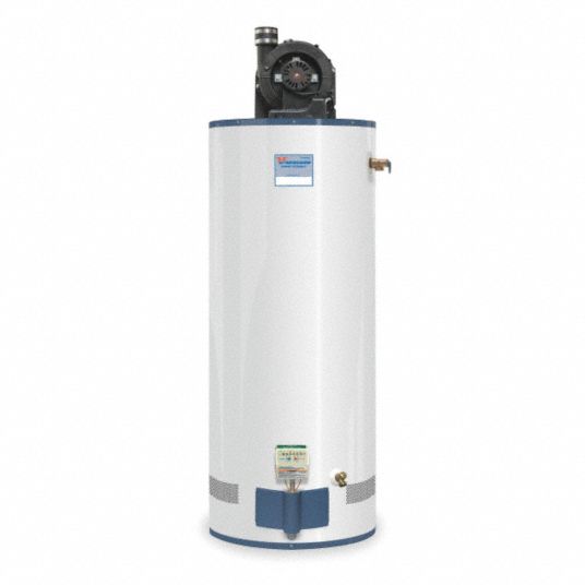 RHEEM Powervent Water Heater, 50G, NG, NAECA - 2JFP1|2JFP1 - Grainger