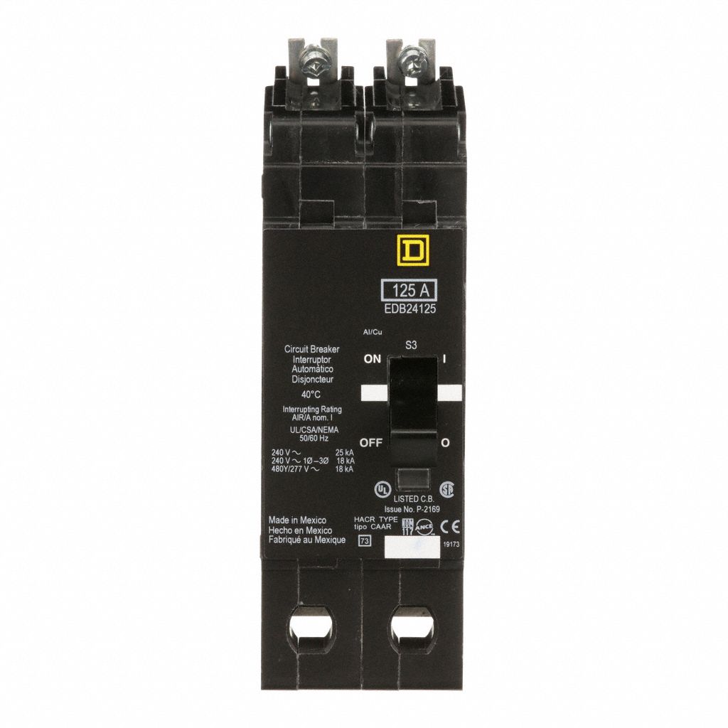 Miniature Circuit Breaker: 125 A, 277/480V AC, Single Phase, 18kA at 277/480V AC, 2 Poles