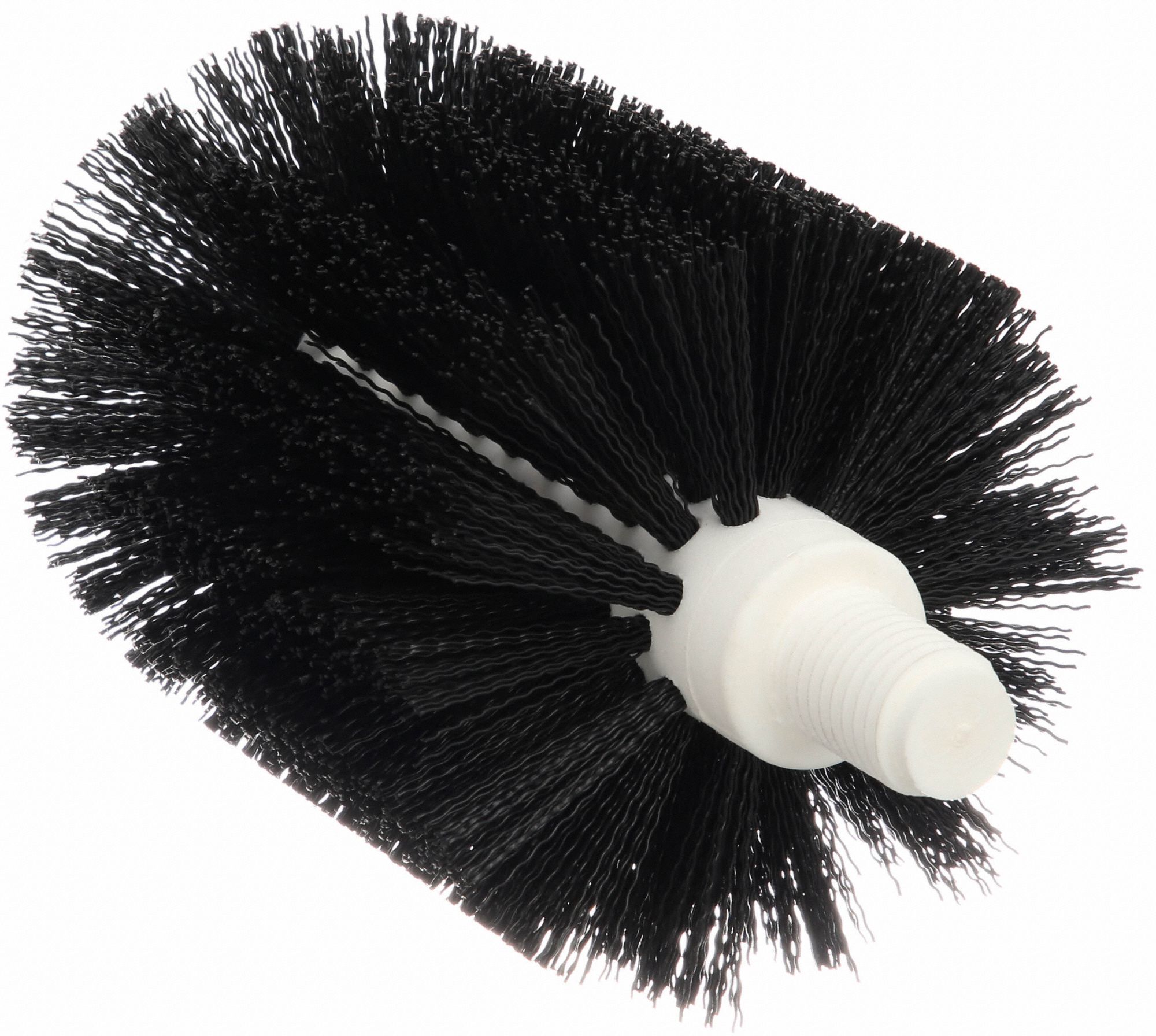 TOUGH GUY 5 3/4 in Polypropylene Floor Drain Brush, 4 in Brush Dia