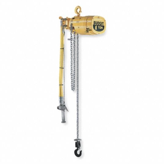 BUDGIT Air Chain Hoist, 4000 lb Load Capacity, 20 ft Hoist Lift, Hook