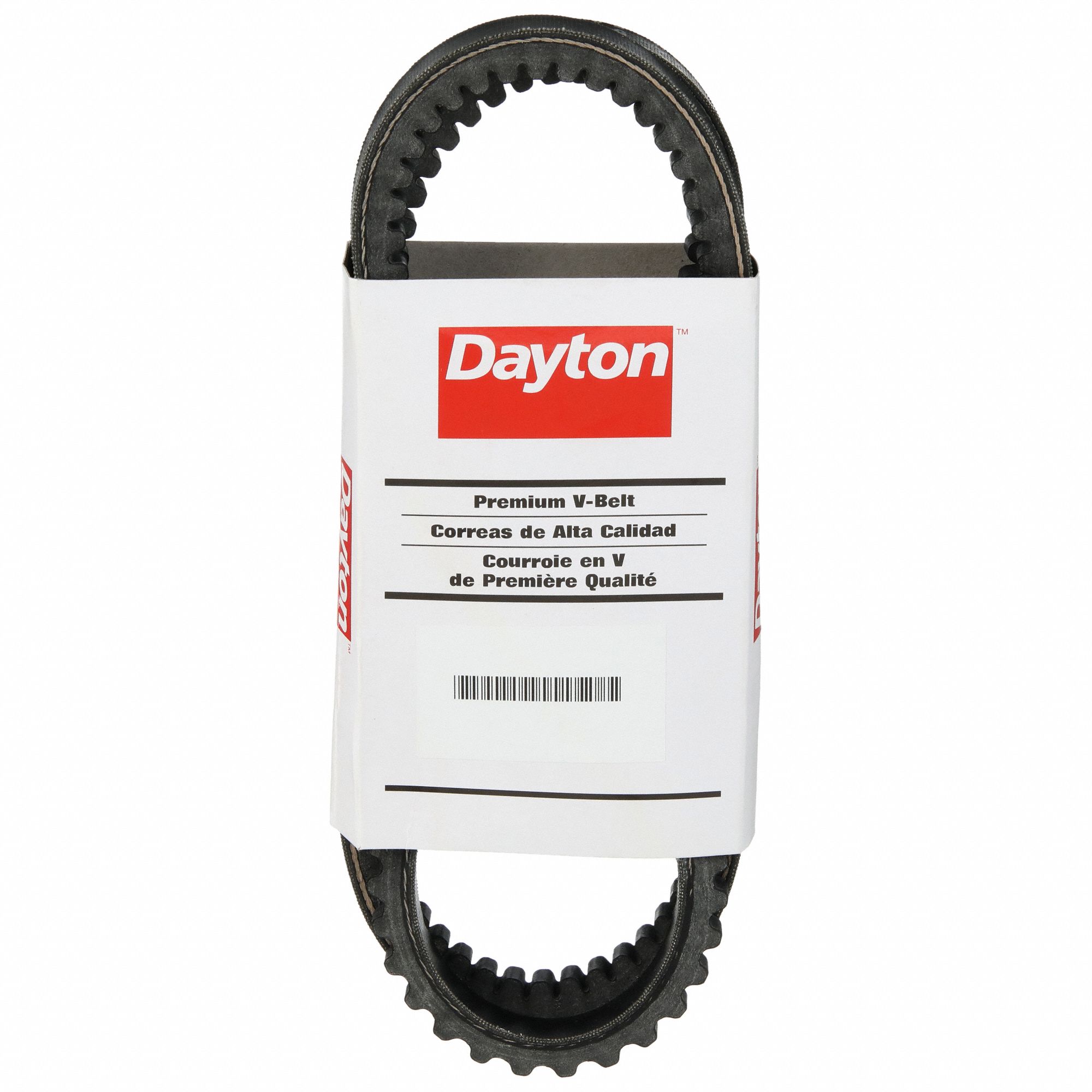 DAYTON Cogged V-Belt: 5VX570, 57 in Outside Lg, 5/8 in Top Wd, 17/32 in  Thick