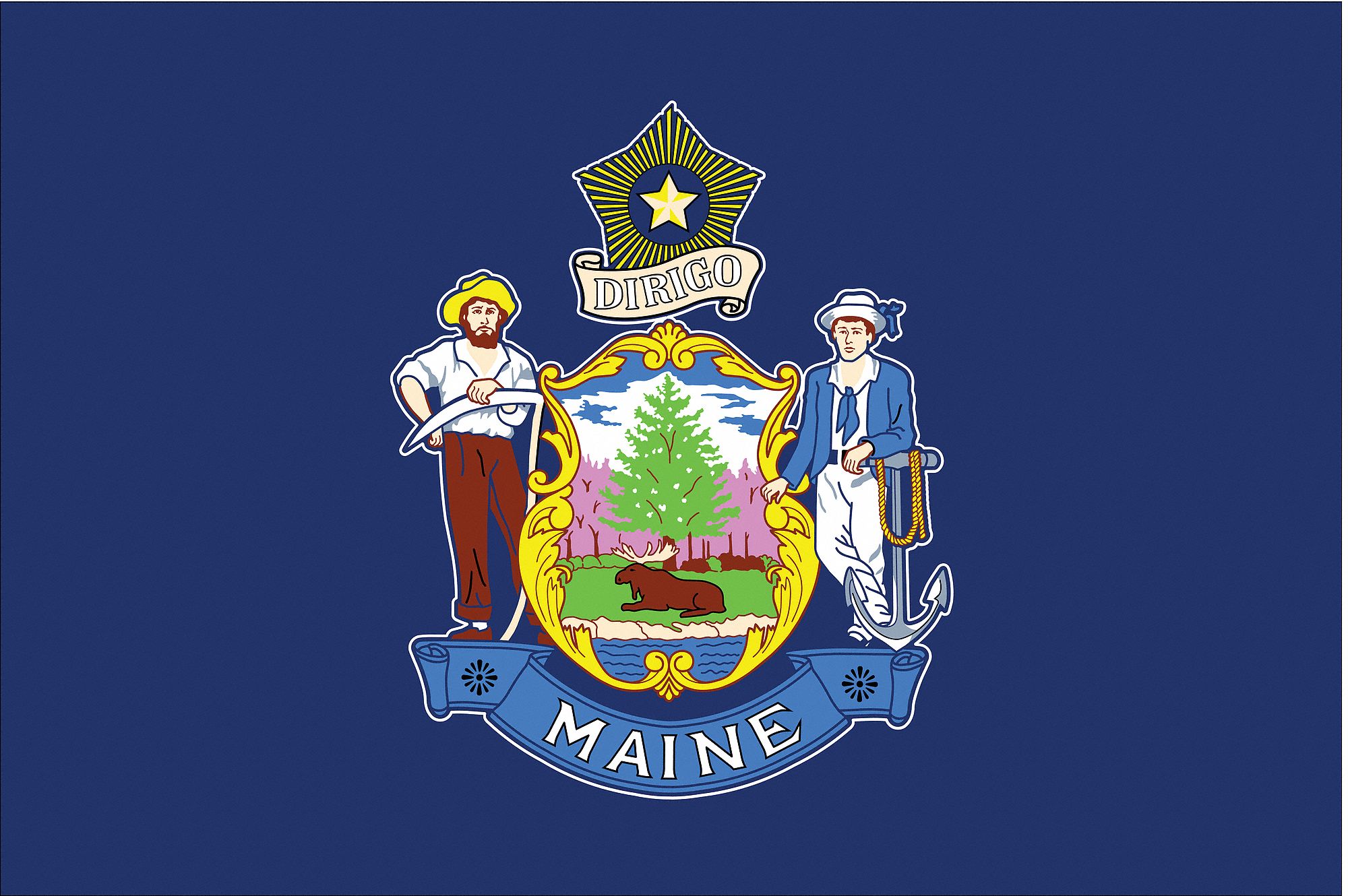 NYLGLO 3 Ft Ht 5 Ft Wd State Flag 2NEK1 142260 Grainger