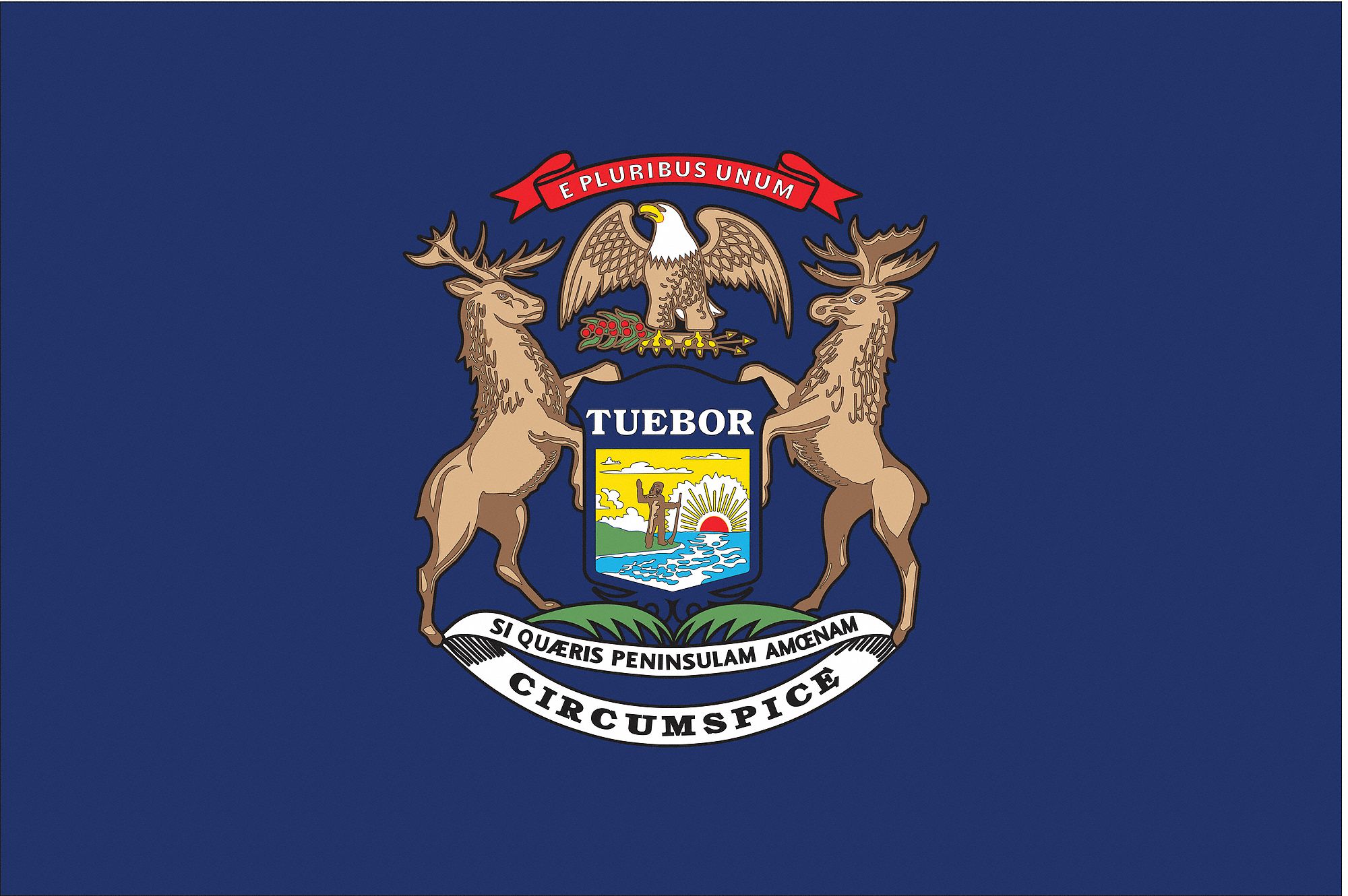 Michigan State Flag: Nylon, Outdoor, 3 ft x 5 ft, State Flags, State