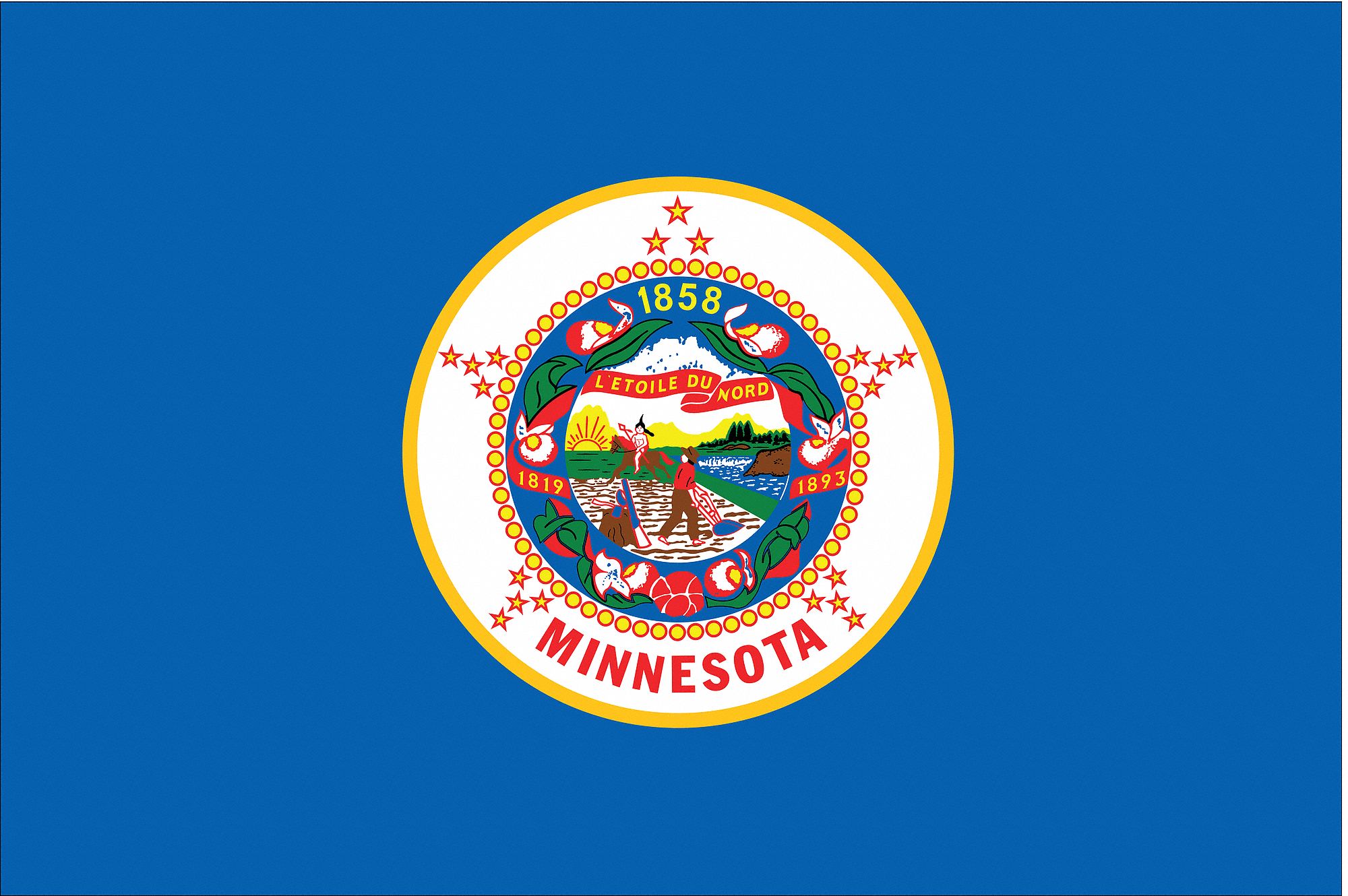 NYLGLO Minnesota State Flag, 3 ftH x 5 ftW, Outdoor 2NEK5142760