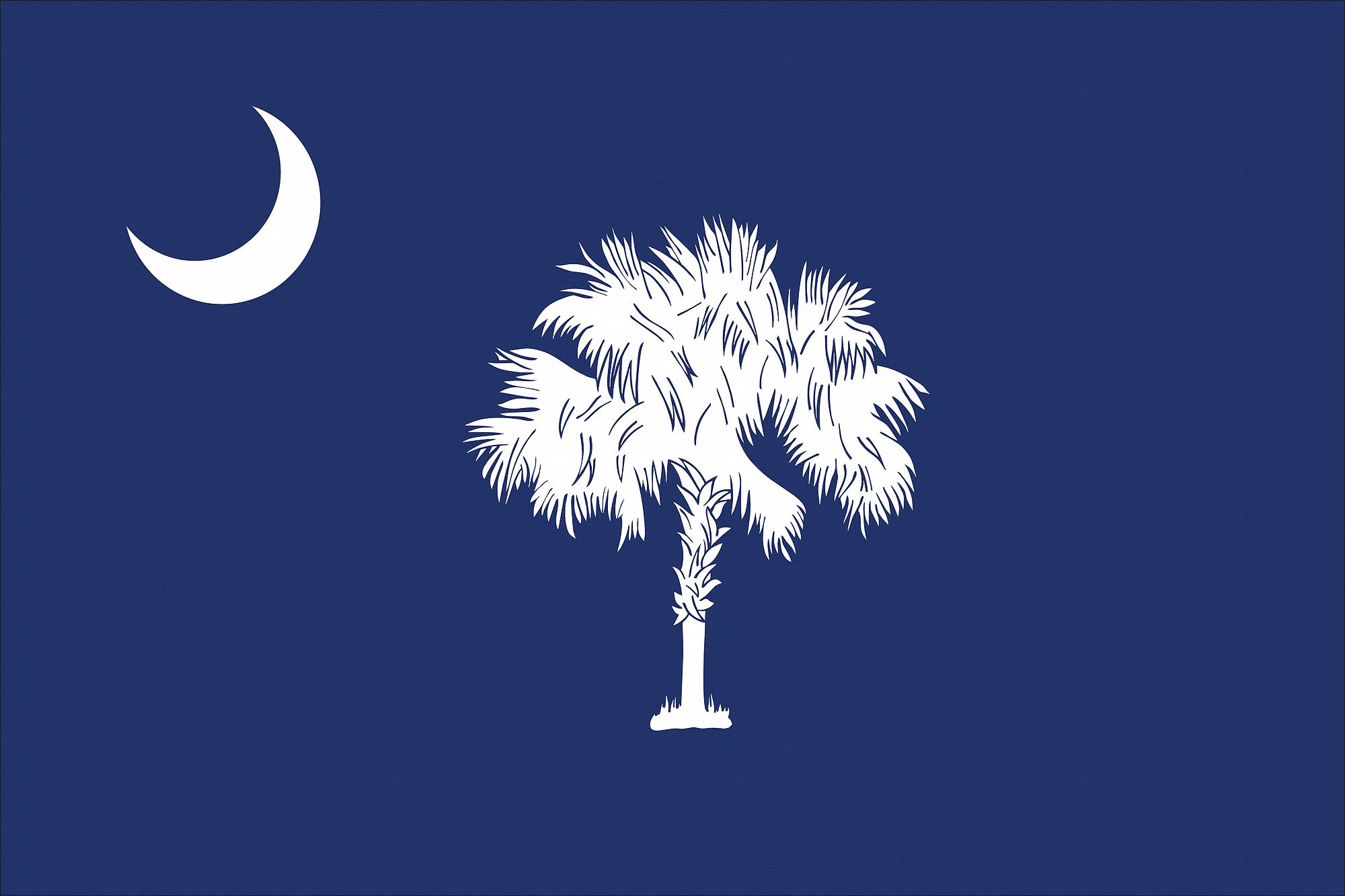 South Carolina State Flag: Nylon, Outdoor, 3 ft x 5 ft, State Flags, State