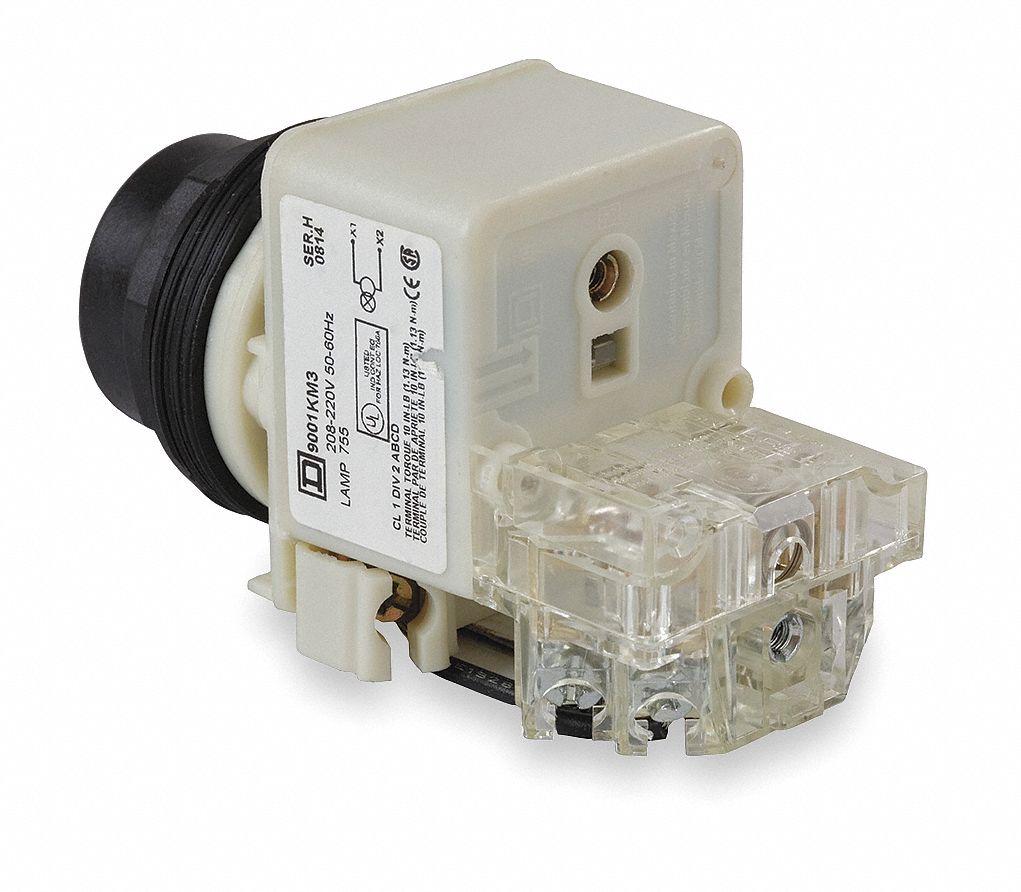 Pilot Light: 30 mm Panel Mounting Size, No Lens Included, Incandescent