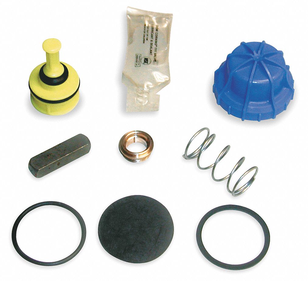 FOOT VALVE REPAIR KIT: BRADLEY, FOR S07-066 FOOT VALVES SHIPPED AFTER JANUARY 2003