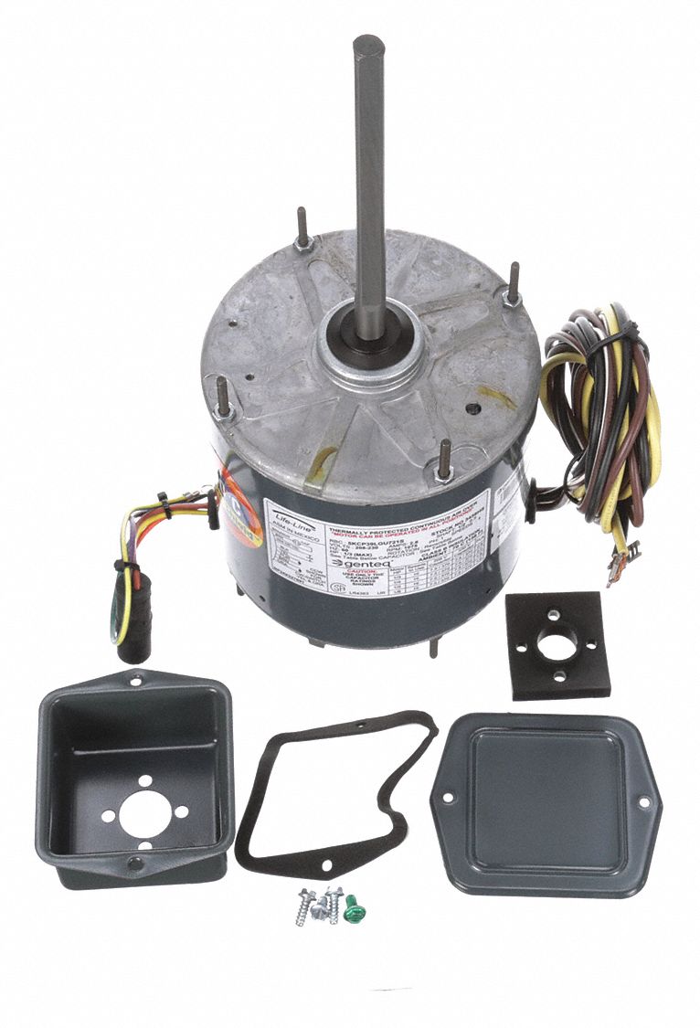 MOTEUR