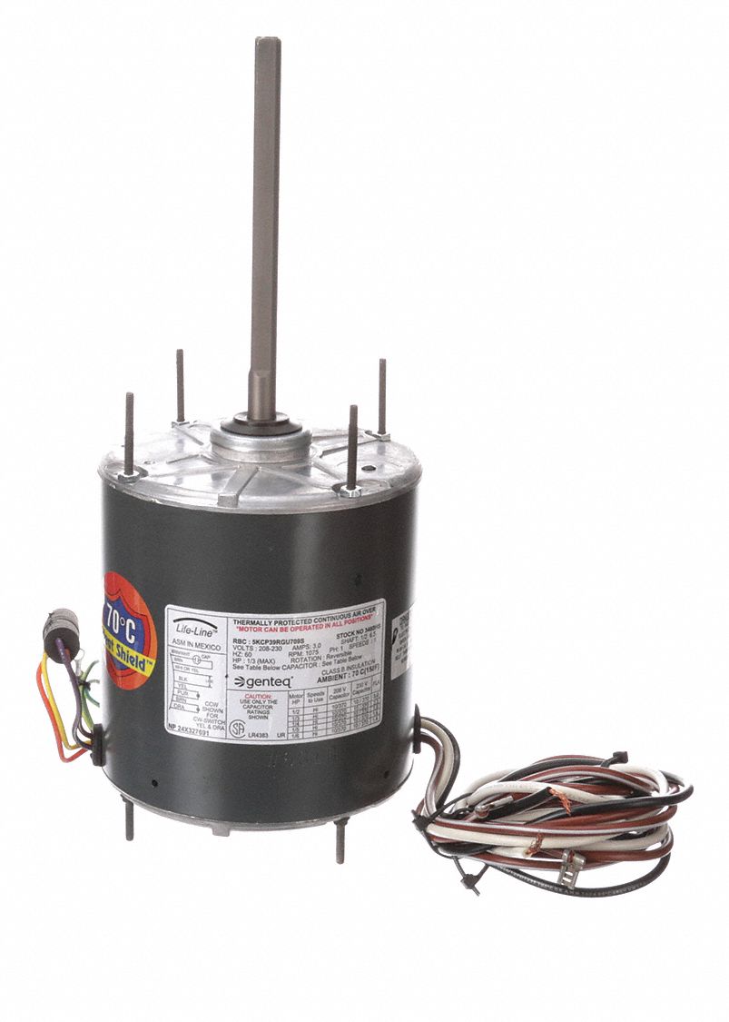 MOTEUR