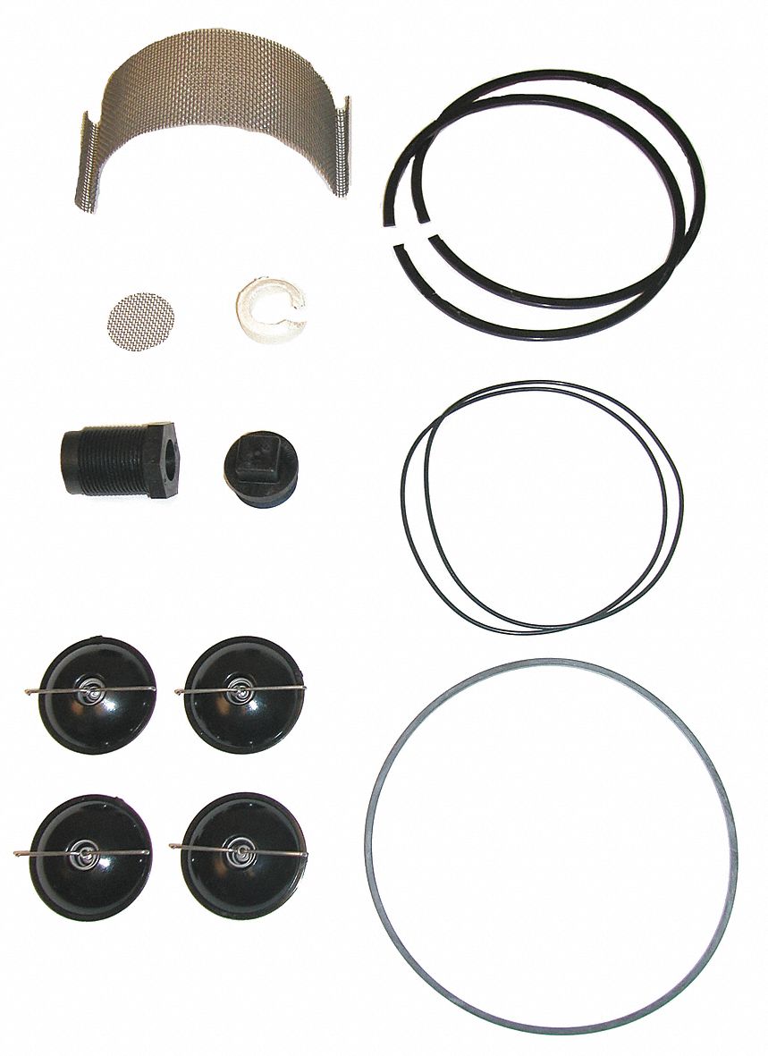 FILLRITE Fuel Transfer Pump Repair Kit 2RE155200KTF1828 Grainger