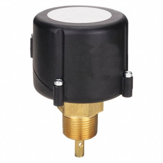 MCDONNELL & MILLER General Purpose Switch: Paddle, 1 in/6 in For Pipe Size,  Brass, 1 in NPT, NPT