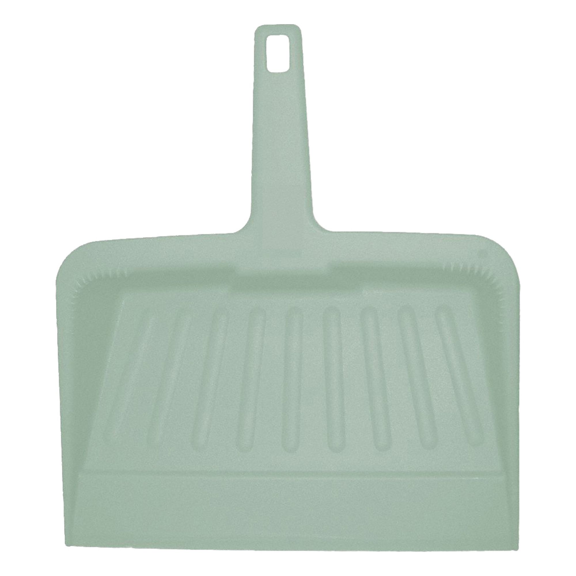 HAND HELD DUST PAN,PLASTIC,12 IN W,