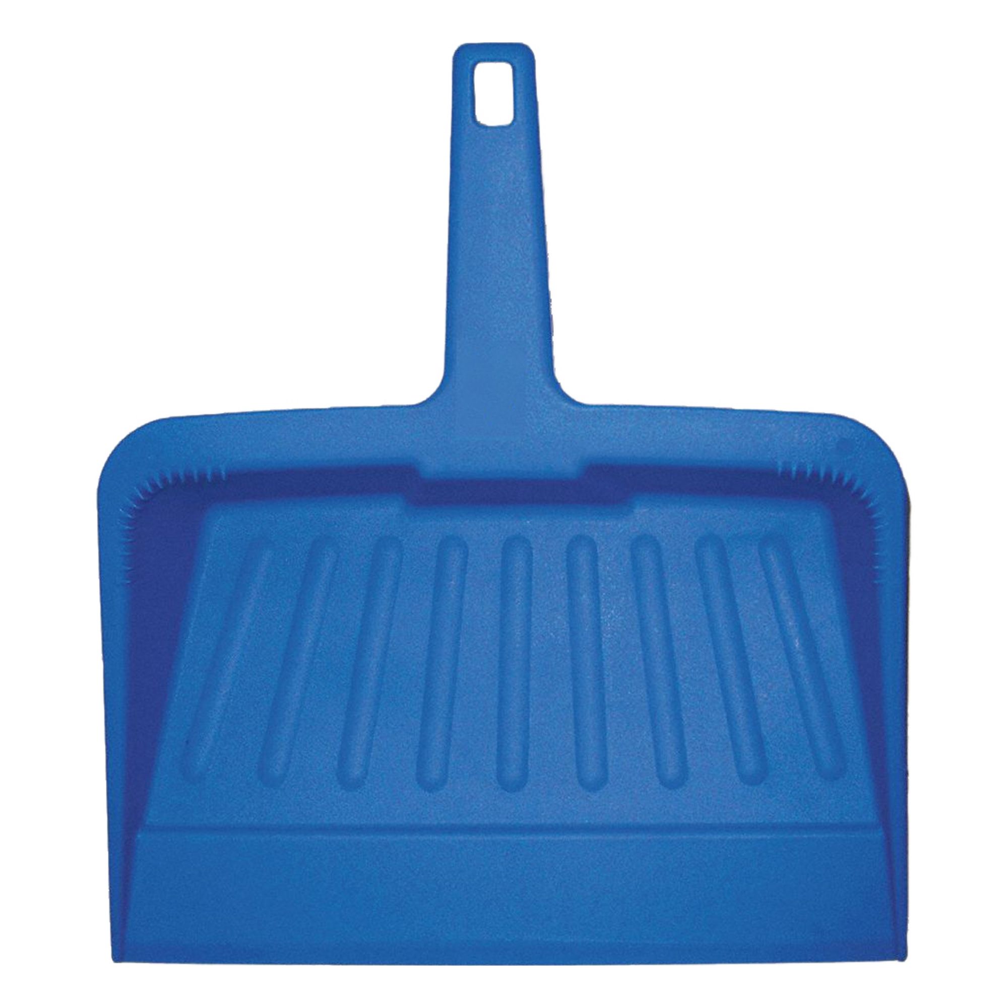 HAND HELD DUST PAN,PLASTIC,12 IN. W