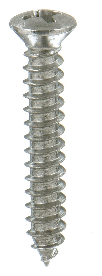 Sheet Metal Screw: #10 Size, 1 in Lg, Stainless Steel, Plain, Phillips, Oval, 100 PK