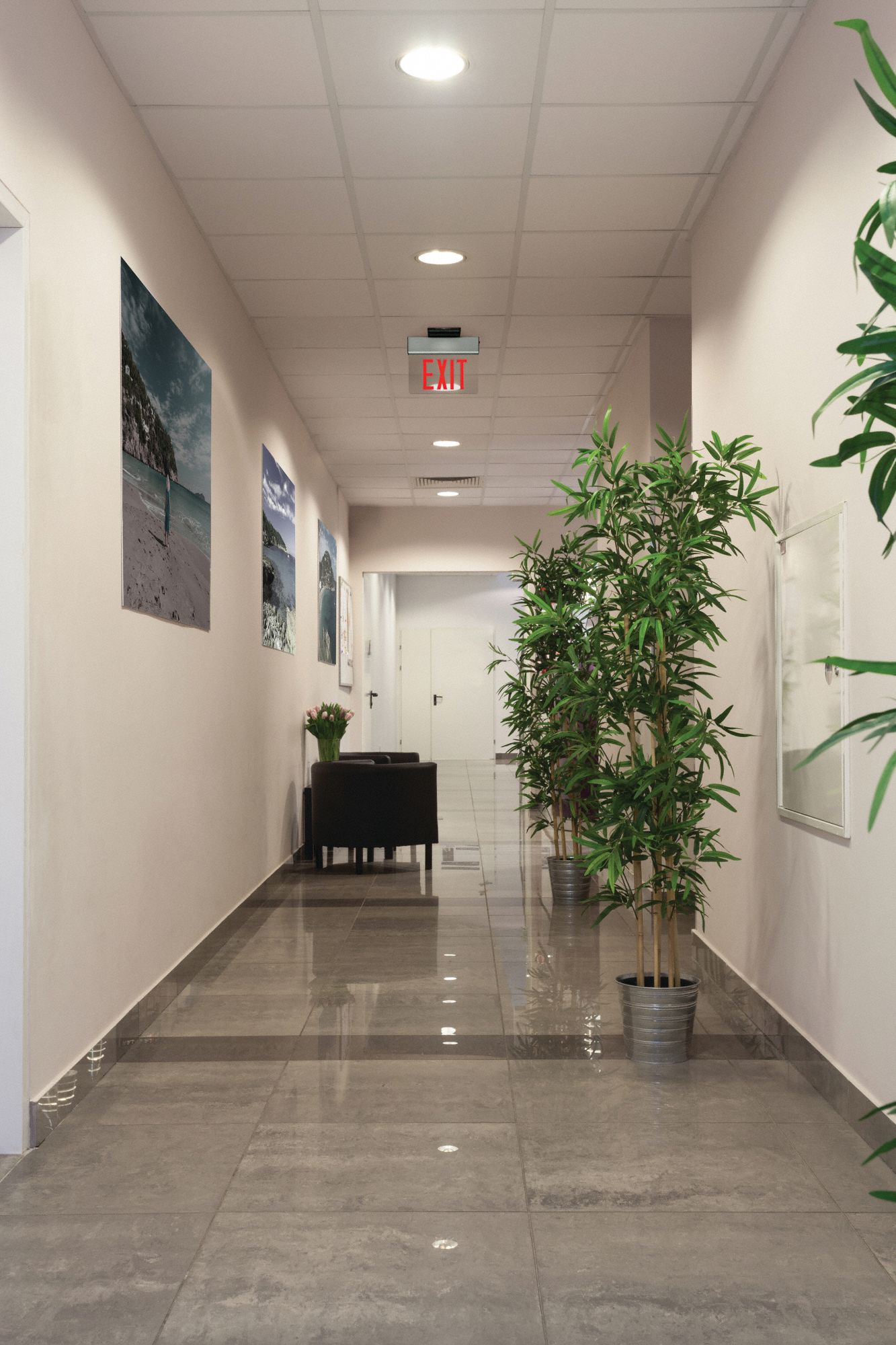 LITHONIA LIGHTING Edgelit Exit Sign 1 Faces, Red, Aluminum, Universal