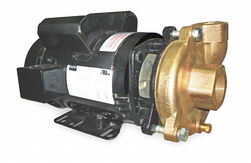 DAYTON Bronze Brass 3 HP iCentrifugali iPumpi 1 Phase 230 DAYTON Bronze Brass 3 HP iCentrifugali iPumpi 1 Phase 230