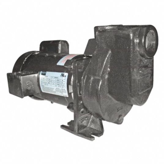 DAYTON 1/2-HP Self Priming Centrifugal Pump, 50 ft Max. Head, 3/8