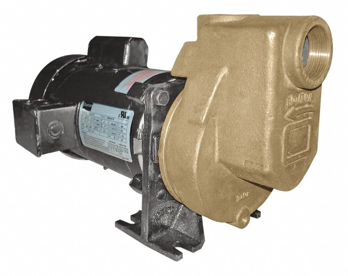 DAYTON 3/4-HP Self Priming Centrifugal Pump, 52 ft. Max. Head, 3/8