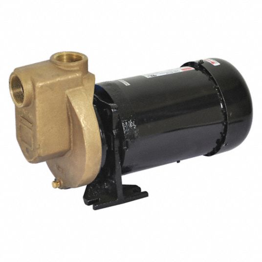 DAYTON Centrifugal Pump: Self-Priming, 208-230/460V AC, 50 ft Max Head ...