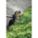 Product Image #2