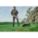 Product Image #10