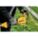 Product Image #5