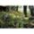 Product Image #3