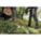 Product Image #4