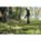 Product Image #5
