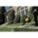Product Image #3
