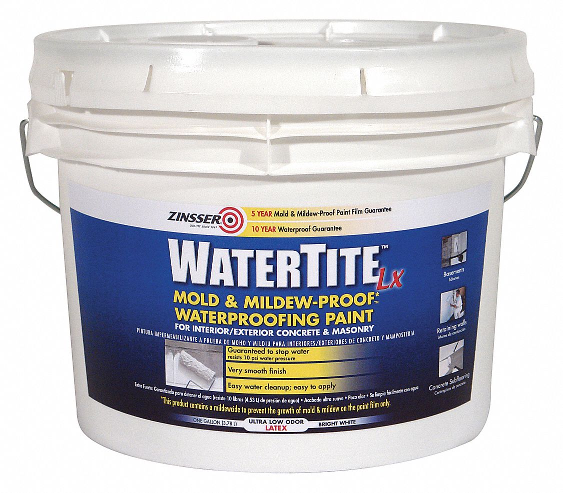 ZINSSER, Exterior/Interior, White, Mold and Mildew Paint 30FY01