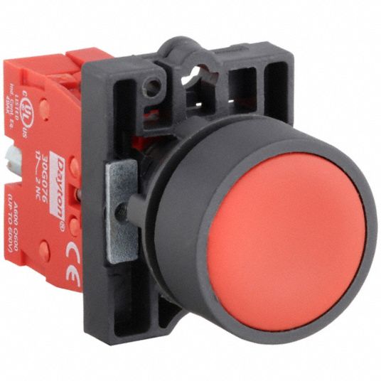 Dayton 22 Mm Size Momentary Push Non Illuminated Push Button