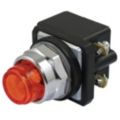 Pilot Lights and Accessories image