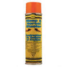 WASP & HORNET INSECTICIDE, SPRAY, READY-TO-USE, 350 G