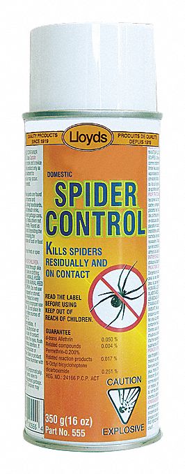 SPIDER CONTROL/INSECTICIDE, SPRAY, READY-TO-USE, 350 G