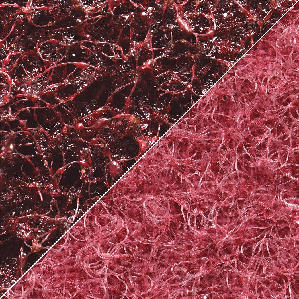 Zk Belt 3/8 X 13 A Med