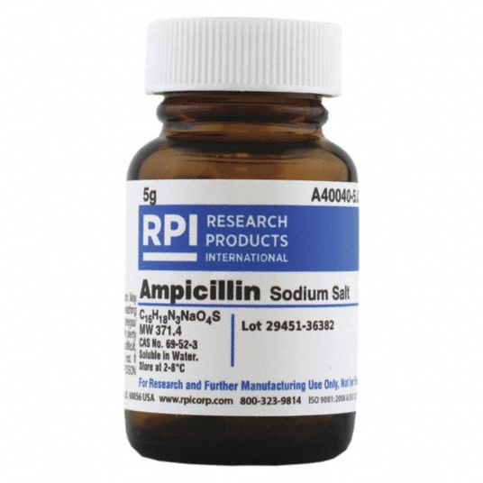 Ampicillin powder price