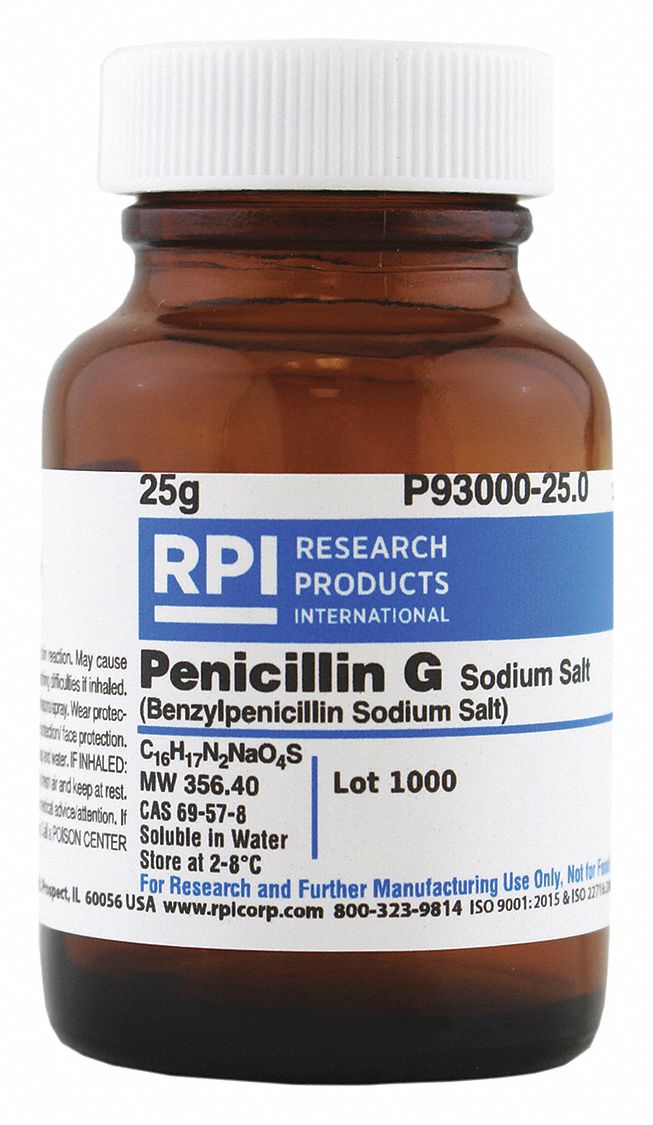 RPI Penicillin G, Sodium Salt: 25 g Container Size, Powder - 30UA31 ...