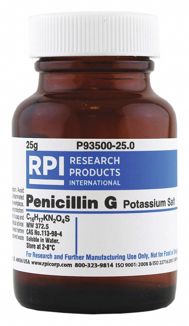 RPI Penicillin G Potassium Salt, 25 G Powder - 30UA34|P93500-25.0 ...