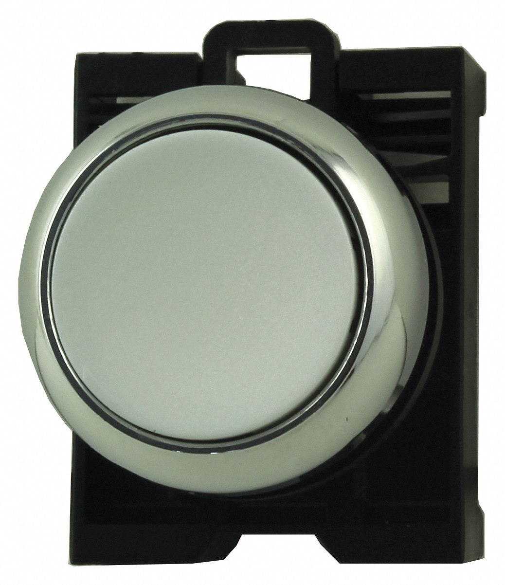 Flush Push Button: White, 22 mm Mounting Size, Metallic, Momentary
