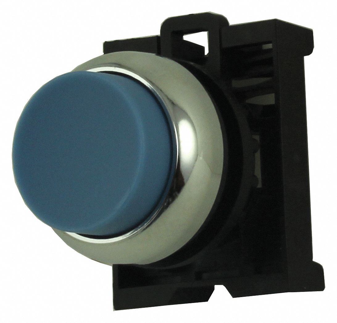 Extended Push Button: Blue, 22 mm Mounting Size, Metallic, Momentary