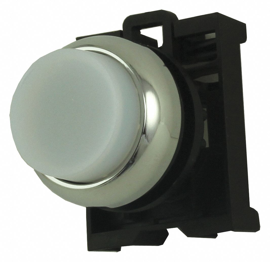 Flush Push Button: White, 22 mm Mounting Size, Non-Metallic, Momentary
